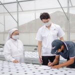 Serah Terima Instalasi Hidroponik Untuk Sekolahan di Rooftop