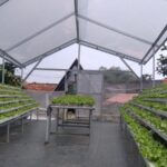 Greenhouse Hidroponik Sayuran Skala Menengah
