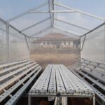 greenhouse hidroponik menengah