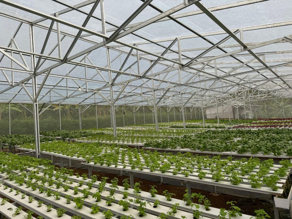 Jasa Pembuatan Green House Terdekat & Profesional